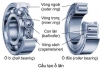 Cấu tạo, phân loại và ưu nhược điểm của ổ lăn (vòng bi, bạc đạn)