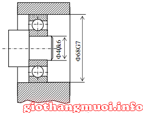 Dung sai điển hình: Dung sai lắp ghép ổ lăn